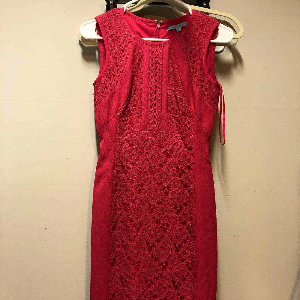 Antonio melani dress